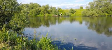 Лещ, Карась — Пахра, 27 июл. 2023 г.