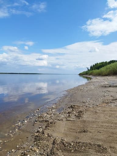 Щука — Печора, 25 июл. 2023 г.