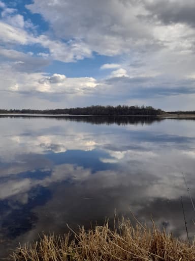 Щука — Великая, 22 июн. 2021 г.