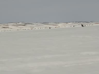 Карась — Юшатырское, 16 янв. 2021 г.