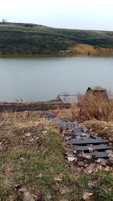 Карась, Карп — Потаповская, 29 июл. 2021 г.