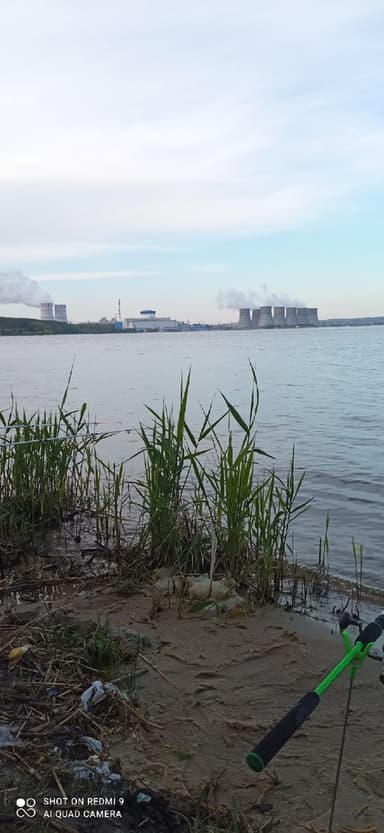 Карась, Карп — Дон, 16 мая 2022 г.