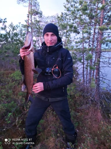 Щука — Половинное, 8 июн. 2021 г.