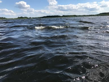 Карась, Краснопёрка — Переханово, 5 сент. 2021 г.