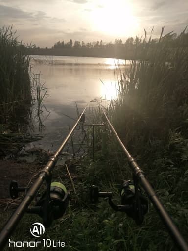 Щука, Карась — Осиновский, 5 июл. 2022 г.