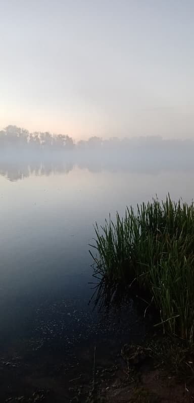 Карп, Судак — Болда, 15 сент. 2021 г.