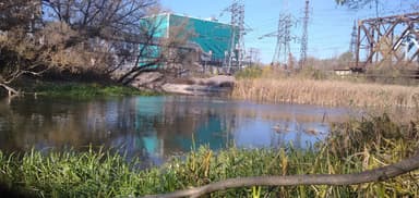 Щука — Сіверський Донець / Северский Донец, 11 нояб. 2021 г.