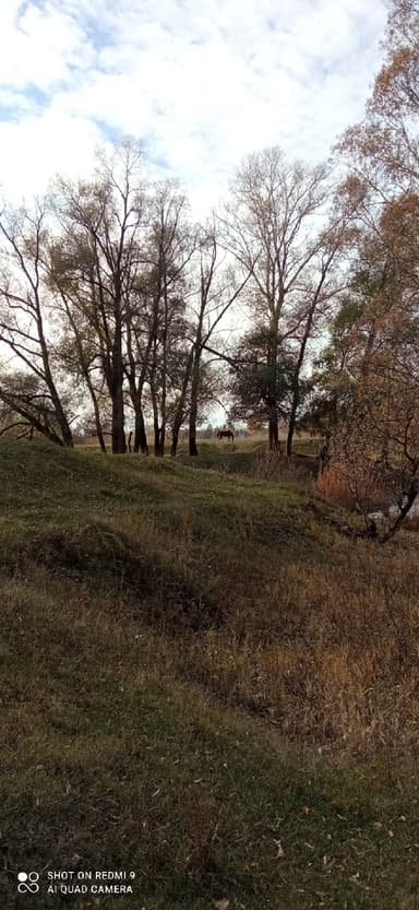 Жерех — Ashkadar, 24 июн. 2021 г.