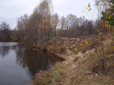 Щука — Линда, 17 окт. 2021 г.