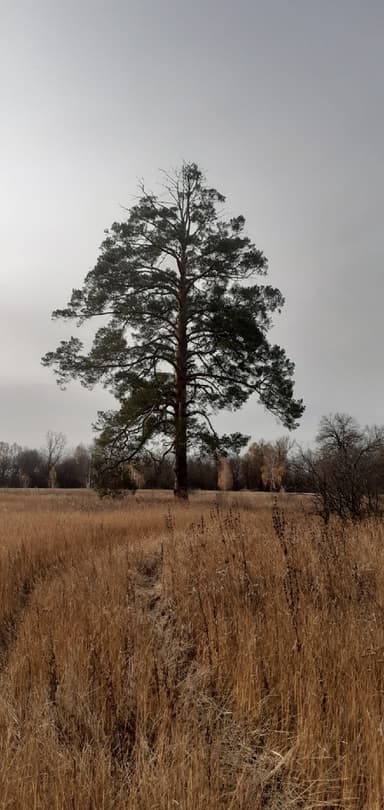 Карась, Карп — Уль-Идель, 3 мая 2022 г.