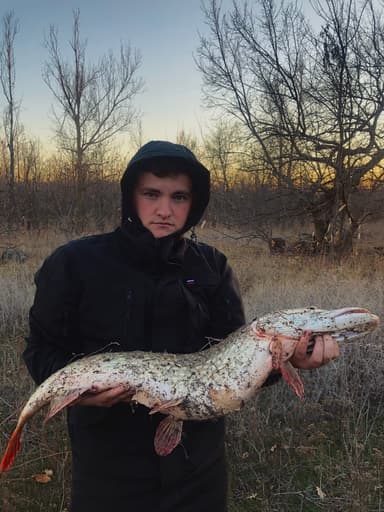 Карась, Щука — озера Кужуры, 8 сент. 2021 г.