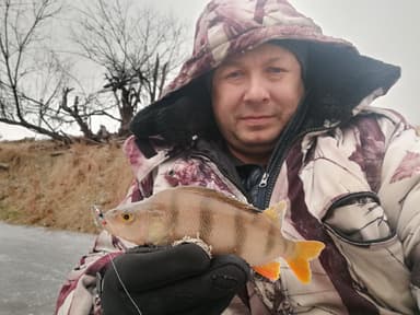 Окунь — Емец, 5 дек. 2021 г.