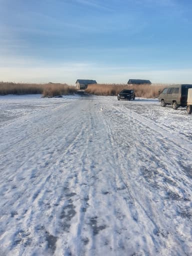 Окунь, Щука — Аракуль, 30 нояб. 2021 г.