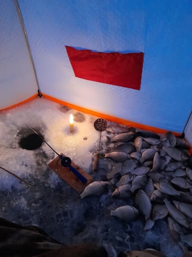 Карась — Крив, 11 апр. 2021 г.