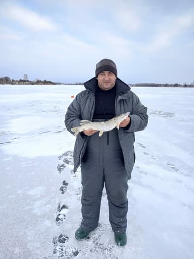 Уклейка, Лещ — Большое Пертешно, 30 сент. 2022 г.
