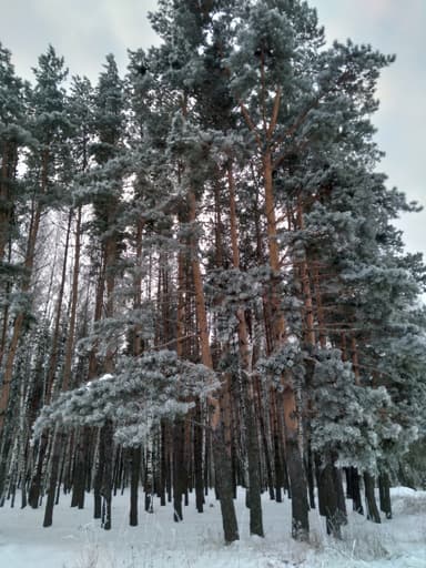 Плотва — Голубые, 12 окт. 2021 г.