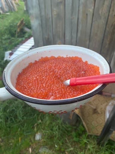 Хариус — Пончозеро, 21 дек. 2021 г.