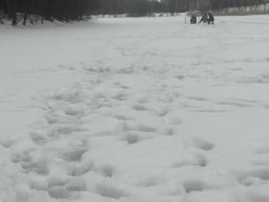 Щука, Окунь — Новое, 10 апр. 2022 г.