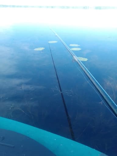 Окунь — Каинкуль, 2 сент. 2021 г.
