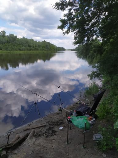 Лещ, Густера — Сура, 19 июл. 2022 г.