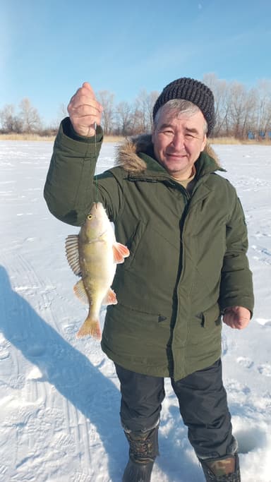 Окунь — Кумакское, 21 дек. 2022 г.