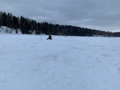 Окунь, Судак — Москва, 18 мая 2021 г.