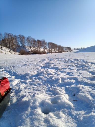 Окунь — Мысли, 21 мар. 2023 г.