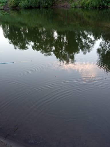 Щука, Окунь — Кырыкмас, 27 июл. 2021 г.