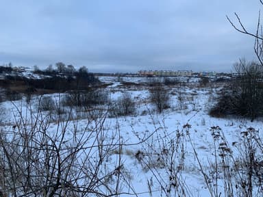 Окунь — Новый, 8 дек. 2023 г.