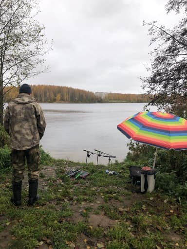 Окунь, Плотва — Десногорское, 5 нояб. 2023 г.