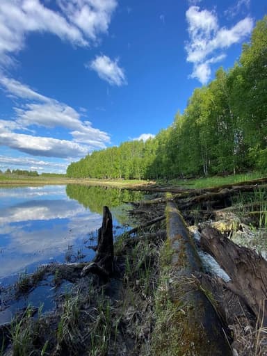 Щука, Жерех — Урьевский Еган, 2 июл. 2023 г.