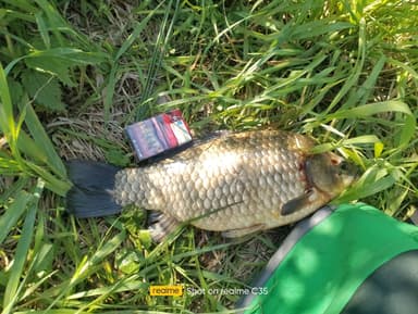 Карась — Красное, 5 июл. 2024 г.