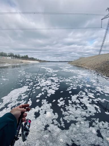 Окунь, Карась — Песьво, 30 апр. 2024 г.