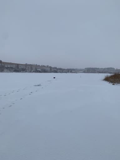 Судак — Коралл, 1 дек. 2023 г.
