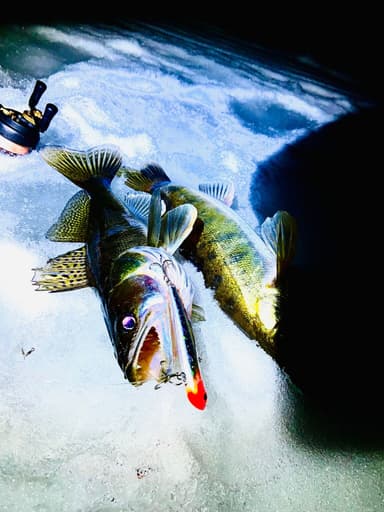 Судак — Волга, 21 дек. 2023 г.