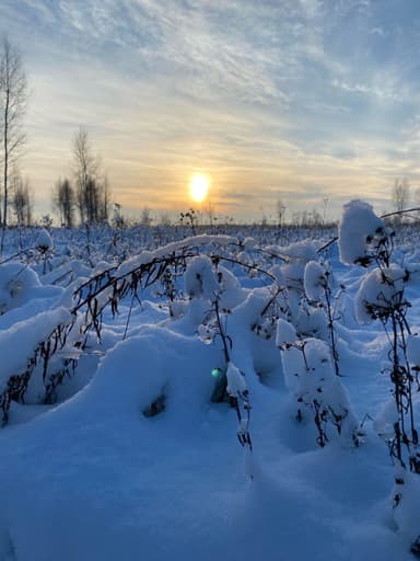 Окунь — Черепетское, 8 дек. 2023 г.