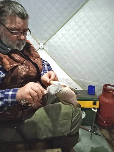 Карась, Окунь — Чаны, 21 апр. 2023 г.