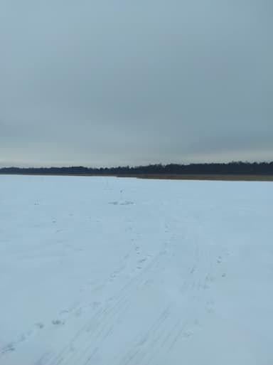 Щука — Староладожский канал, 1 дек. 2023 г.