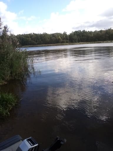 Щука — Правдинское водохралилище, 9 окт. 2023 г.