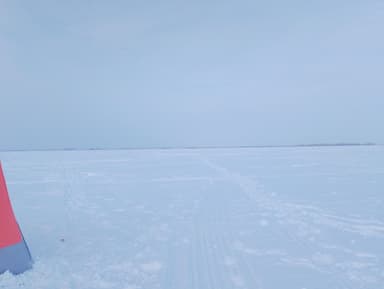 Окунь — Тенис, 1 февр. 2024 г.