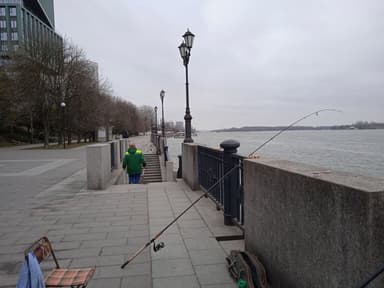 Плотва — Дон, 3 мар. 2024 г.