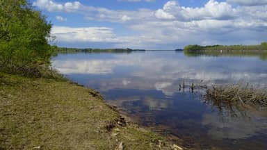 Жерех — Волга, 13 мая 2023 г.