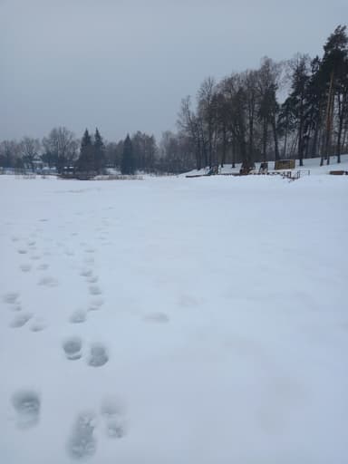 Плотва, Карась — Вяз, 3 мар. 2024 г.