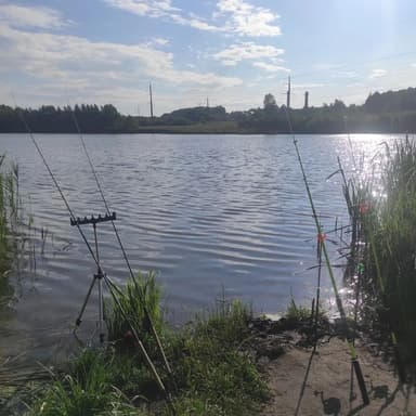 Карп, Карась — Дарковское, 29 июн. 2023 г.