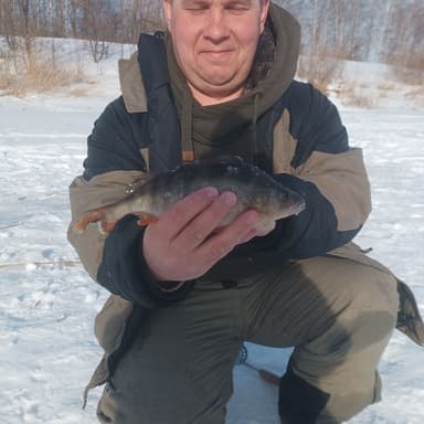 Щука, Окунь — Клешня, 29 февр. 2024 г.