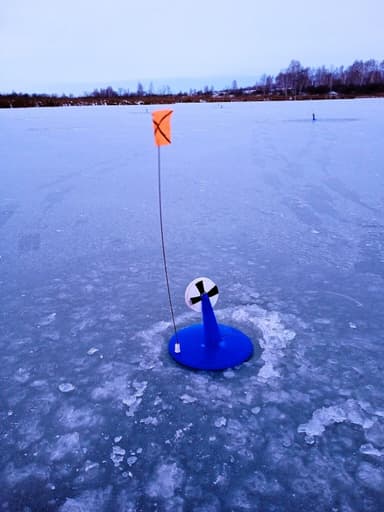 Щука — Скачки, 8 дек. 2024 г.