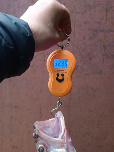 Судак, Карась — Чаны, 2 апр. 2025 г.