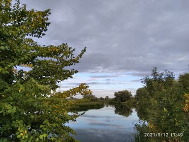 Краснопёрка, Лещ — Банное, 15 мая 2021 г.