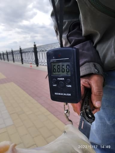 Жерех — Волга, 17 июн. 2021 г.
