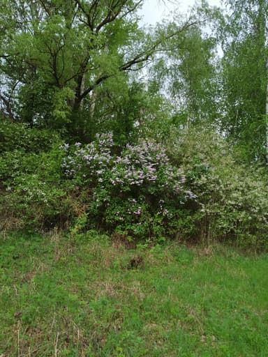 Лещ, Карась — Ока, 6 янв. 2021 г.